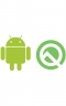 Android&nbsp;10 Q